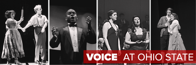 Voice Area Performance Images Voice Area Performance Images