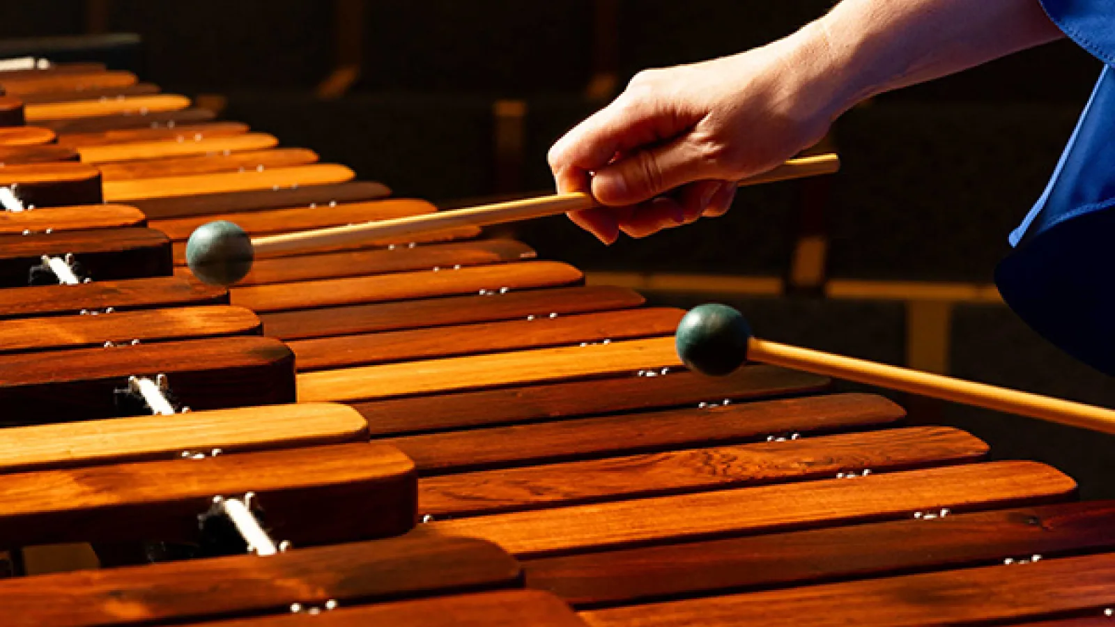 Percussionist's hands playing marimba