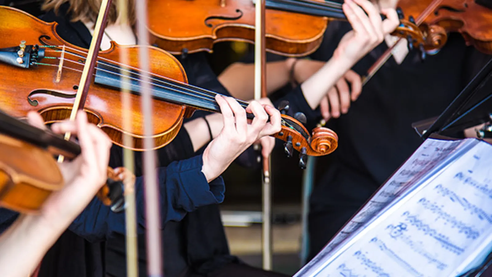 Orchestra string section closeup