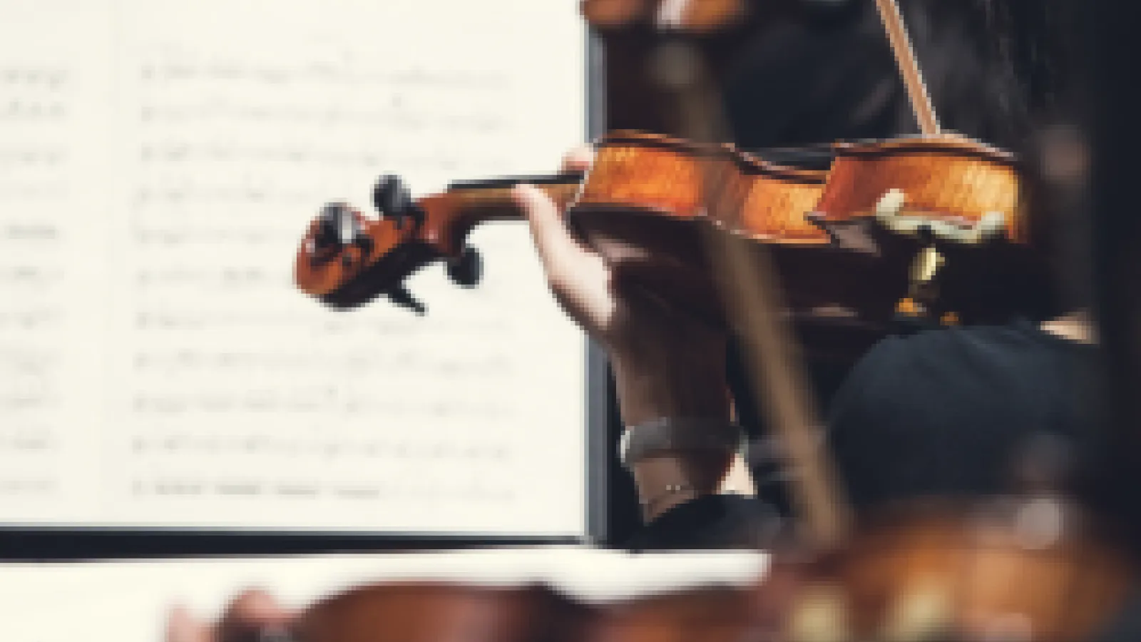 Strings