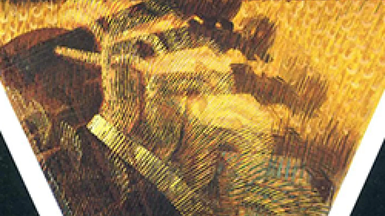 The Hand of the Violinist, Giacomo Balla, 1912