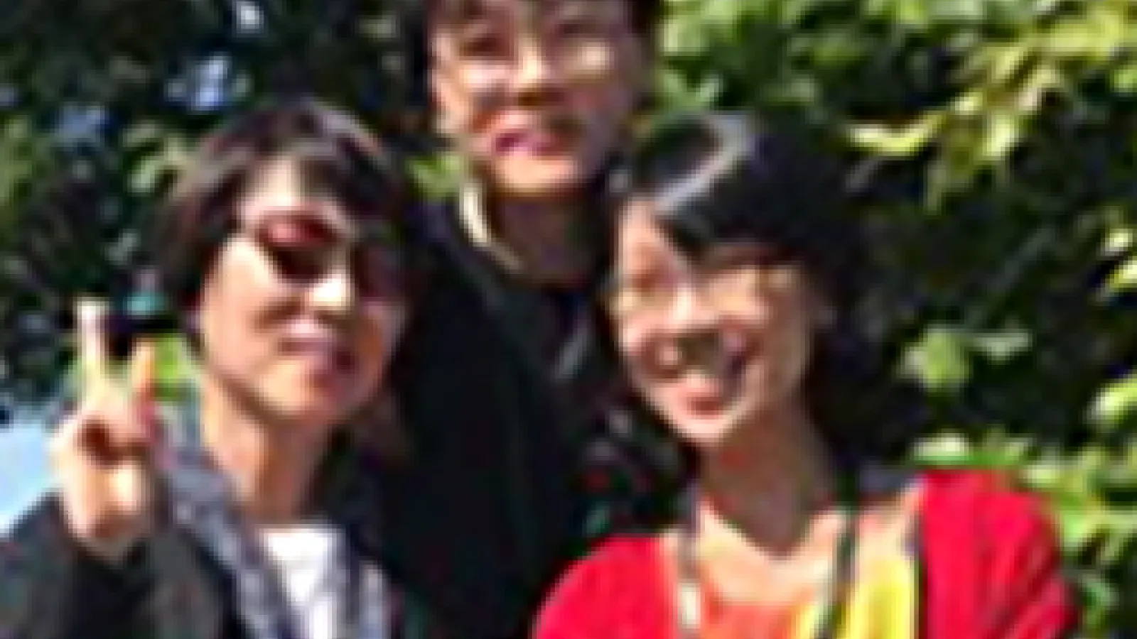 Cheong, Fan and Kung