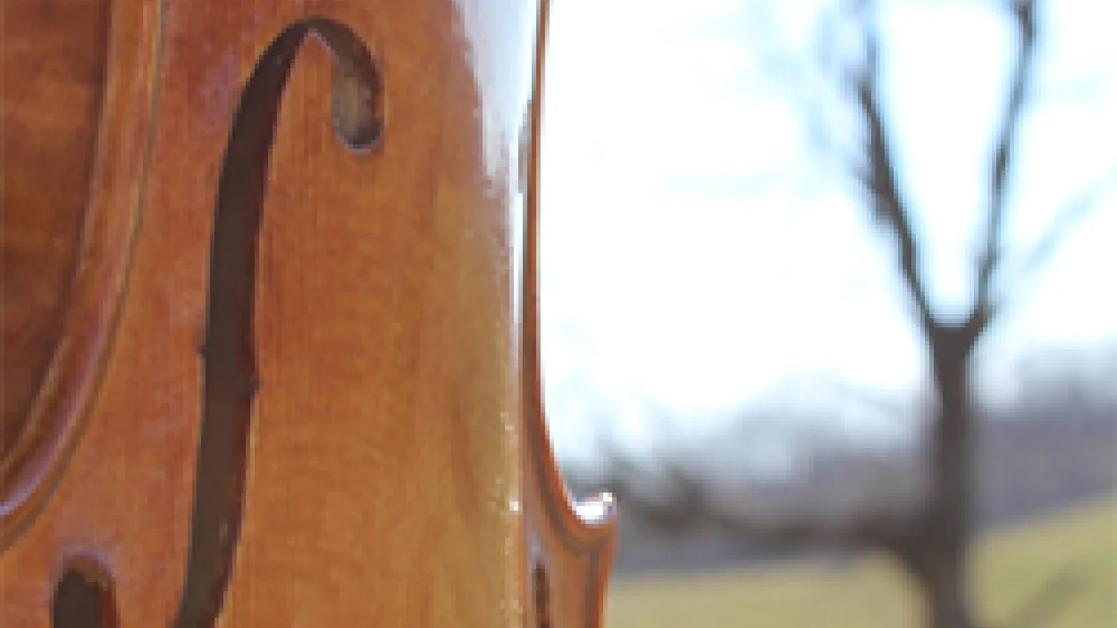 String instrument and tree