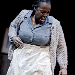 A Raisin in the Sun A Raisin in the Sun