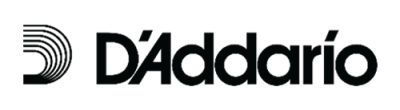 D'Addario, Stiring Teacher Workshop partner