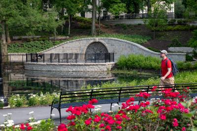 View of Mirror Lake with walking path and red tulips