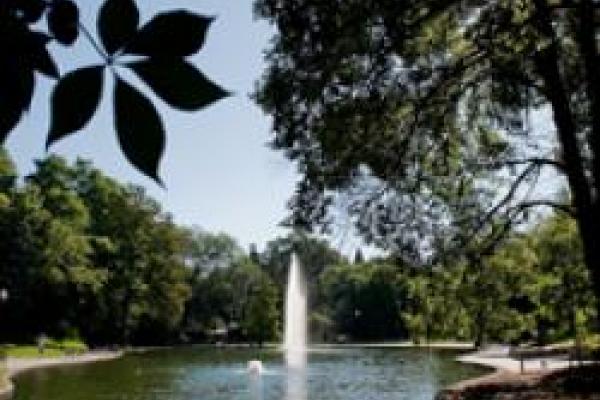 Jazz at Mirror Lake