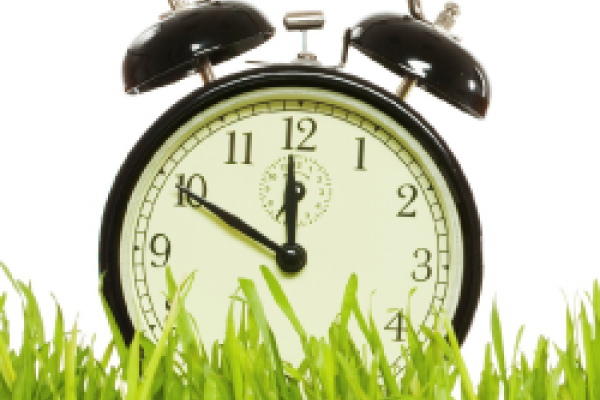 Spring Forward Spring Forward