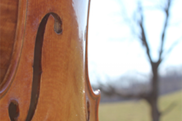 String instrument and tree
