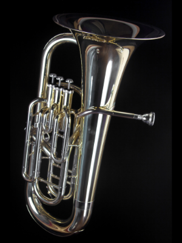 Tuba and Euphonium Studio - Acting instructors of record