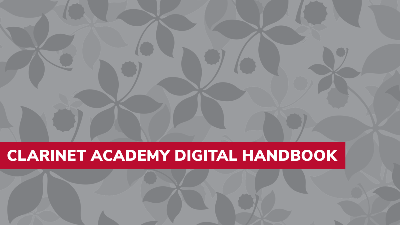 Clarinet Academy Digital Handbook web page